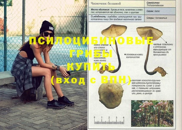 не бодяженный Богородицк