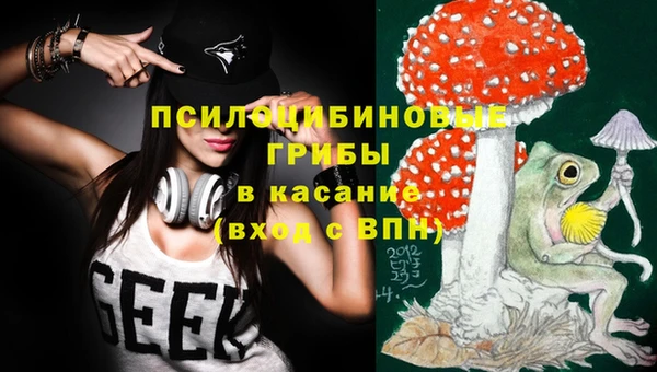 винт Богданович