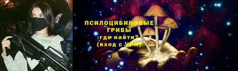 дарнет шоп  Дигора  Галлюциногенные грибы MAGIC MUSHROOMS 