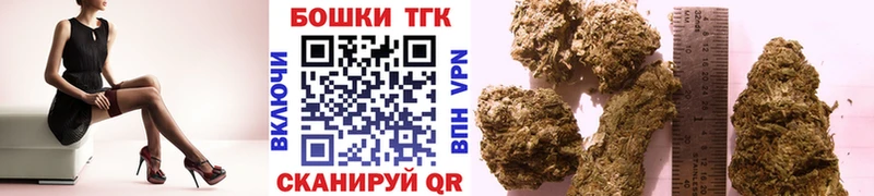 МЕГА как зайти  Дигора  Бошки марихуана сатива 